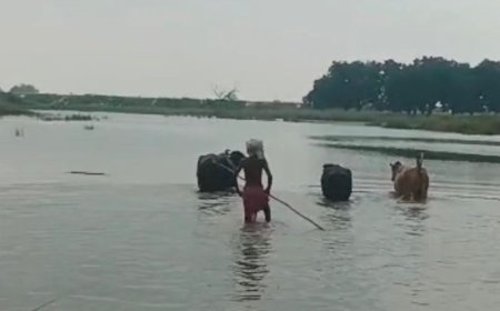 बलिया में गंगा-सरयू नदियां खतरे के निशान से ऊपर:गंगा एक मीटर और सरयू 80 सेमी ऊपर, निचले इलाकों में बाढ़ का डर