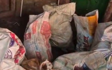 रायबरेली में अवैध पटाखे बनाने वाला दंपति गिरफ्तार:4 साल से बिना लाइसेंस बना रहे थे पटाखे, 2 लाख का माल बरामद