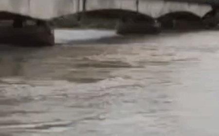राप्ती नदी का जलस्तर चेतावनी बिंदु से 98 सेंटीमीटर ऊपर:बलरामपुर में खतरे के निशान से सिर्फ 5 सेंटीमीटर नीचे, तटवर्ती गांवों में चिंता बढ़ी