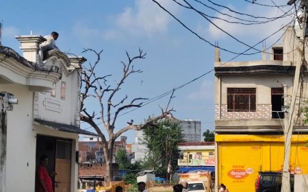 कौशांबी में इलेक्ट्रीशियन की हाईटेंशन तार से मौत:बंदरों से बचने के दौरान हुआ हादसा, 4 महीने पहले मोहल्ले के लोगों ने तार हटाने की मांग की थी