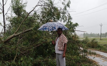 बारिश से मकान चटके-पेड़ गिरे, 500 गांवों में बिजली गुल:घंटों यातायात प्रभावित, मकान गिरने से गृहस्थी का सामान दबा; बिजली के पोल टूटे