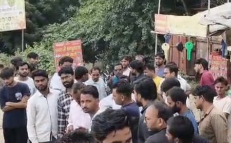 तेज रफ्तार ट्रक ने ग्रामीण को कुचला:रिश्तेदार के साथ जा रहे थे, पुलिस ने ट्रक कब्जे में लेकर जांच शुरू की