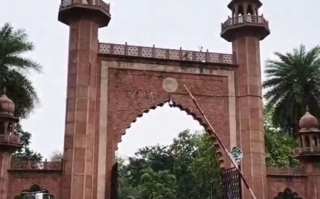 अलीगढ़ में AMU के छात्र पुलिस से भिड़े:इंस्पेक्टर ने पूछा- रोड कैसे जाम कर सकते, छात्रों ने कहा- ये नगर निगम की रोड