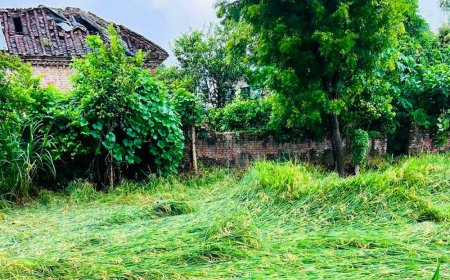 बस्ती में अगले 72 घंटे भारी बारिश का अलर्ट:प्रशासन ने रेड अलर्ट जारी कर 24 घंटे निगरानी के दिए निर्देश