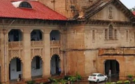 गर्भवती युवती को हाईकोर्ट में पेश करने का आदेश:बंदी प्रत्यक्षीकरण याचिका, नारी निकेतन वृंदावन में जबरन रखने का आरोप