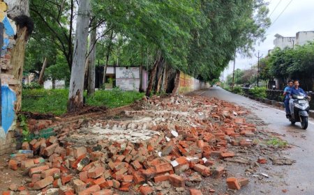 फिरोजाबाद में 17 घंटे से बारिश, खेतों-मोहल्लों में भरा पानी:मिर्च-धान और बाजरा की फसल को नुकसान, दीवार गिरने से महिला घायल
