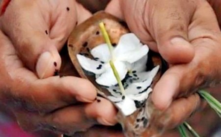 भाद्रपद पूर्णिमा आज और 10 अक्टूबर तक रहेगा पितृ पक्ष:पितरों के लिए श्राद्ध-तर्पण करने से घर-परिवार में बनी रहती है सुख-समृद्धि, जानिए किस तिथि पर किसका श्राद्ध करें