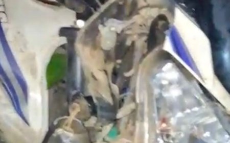 बाराबंकी में सांड़ की टक्कर से बाइक सवार घायल:देवीगंज-सुबेहा मार्ग पर हुआ हादसा, घर लौटते समय हुआ घायल; बाइक क्षतिग्रस्त