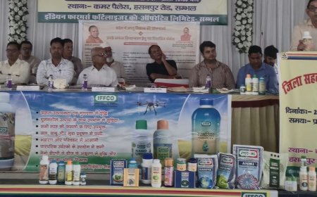 आलू किसानों को जल्द मिलेगी तरल नैनो एनपीके:संभल में रासायनिक खाद की खपत कम करने में मिलेगी मदद