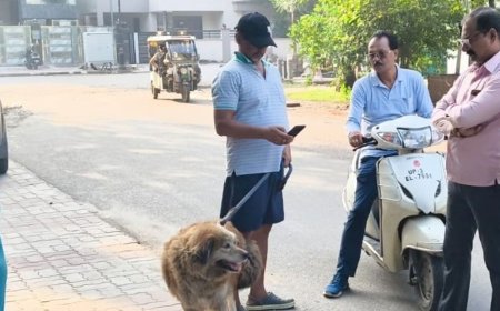 बिना लाइसेंस कुत्ता पाला तो लगेगा 5,000 का जुर्माना:लखनऊ नगर निगम ने चलाया चेकिंग अभियान, वसूले 20 हजार