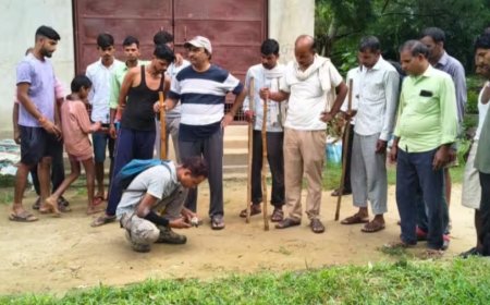सीतापुर में सियार का आतंक, 5 साल की बच्ची समेत 6 लोगों पर हमला