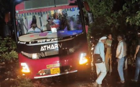 जालौन में बस के ऊपर गिरा पेड़,यात्रियों की जान बची:ड्राइवर ने दिल्ली जा रही बस कच्चे रास्ते पर उतारा