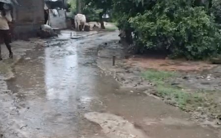 श्रावस्ती में घटा राप्ती का जलस्तर:बाढ़ प्रभावित गांवों में राहत, कीचड़ और बिजली संकट बरकरार