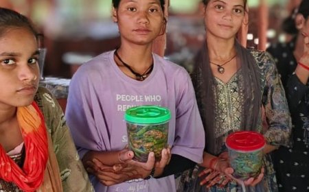 श्रावस्ती में फूड प्रोसेसिंग प्रशिक्षण कार्यक्रम:आत्मनिर्भर बनीं युवतियां, शुरू किया अचार का बिजनेस