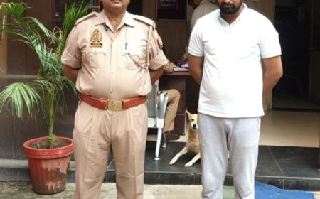 महिला अधिवक्ता का पीछा करने वाला गिरफ्तार:कार पर लिखा था पुलिस, नंबर ट्रैक कर आरोपी तक पहुंची पुलिस