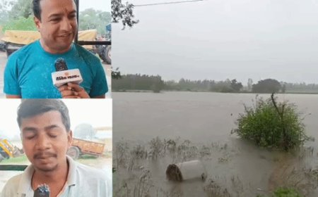 बरेली में धान की फसल खेतों में बिछी:पानी में डूबे अरमान, बारिश से खेत तालाब बने, मक्का-अरहर भी चपेट में
