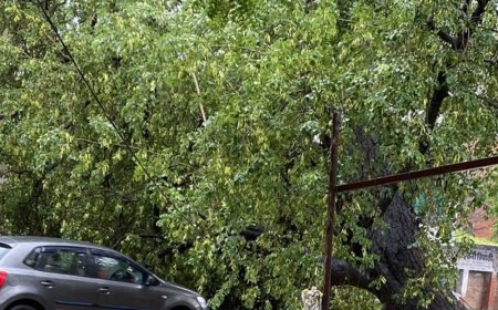 लगातार बारिश से जनजीवन अस्त-व्यस्त, 95 एमएम बारिश रिकॉर्ड:मकान पर पेड़ गिरा, बिजली गुल; डीएम ने 12वीं तक के स्कूल बंद किए