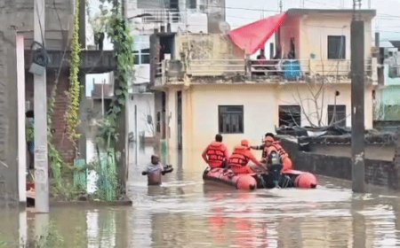 पांडू नदी उफनाई, 10 गांव प्रभावित:मेहरबान सिंह पुरवा की सड़कों पर 4 फीट भरा पानी, पूर्व सांसद सुखराम सिंह ने टैक्टर से किया निरीक्षण