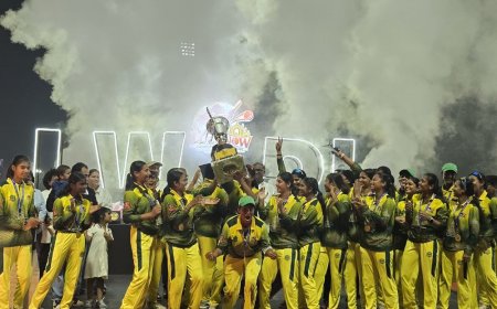 लखनऊ शेरनीज बनी चैपियन:लखनऊ विमेंस प्रीमियर लीग के फाइनल में सेज फाल्कन को 7 रनों से हराया