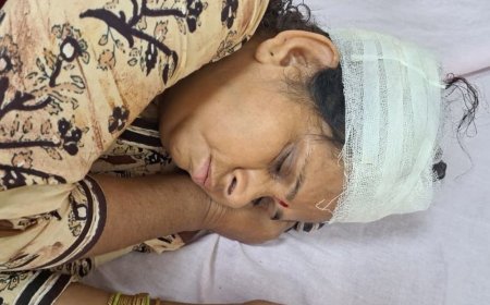 नाली विवाद में दंपती का सिर फोड़ा:गंभीर हालत में ट्रॉमा सेंटर में भर्ती, लाठी-डंडों से किया हमला