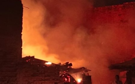 महोबा में पशुबाड़े में शॉर्ट-सर्किट से लगी आग:15 बकरियां और पड़वा जले; भैंस भी झुलसी, परिवार ने मांगा मुआवजा