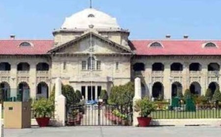 हाईकोर्ट बोला- बहू को सास का शस्त्र लाइसेंस ट्रांसफर नहीं:कोर्ट ने कहा- शस्त्र लाइसेंस एक विशेषाधिकार है, अधिकार नहीं