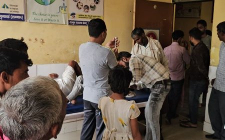 संभल में आवारा कुत्ते का आतंक:आधा दर्जन बच्चों समेत 15 लोगों को काटा, कई पशु भी जख्मी; गांव में दहशत
