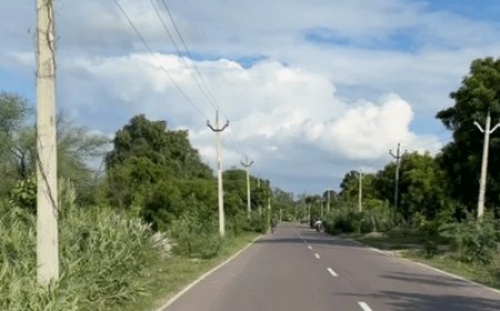 प्रयागराज से अब मानसून की विदाई की तैयारी:बारिश थमी, तेज धूप से दिन का तापमान बढ़ा, रात में मौसम ठंडा, अगले 10 दिनों में बढ़ेगी ठंड