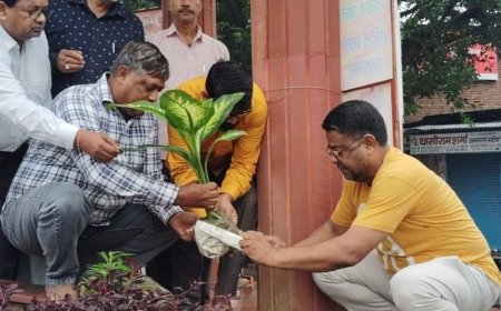 औरैया में पौधों के महत्व पर जन-जागरूकता गोष्ठी:एक विचित्र पहल सेवा समिति ने 5100 पौधे लगाने के बाद उनकी सुरक्षा पर जोर दिया