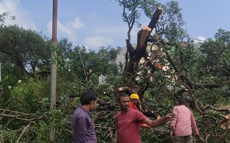 श्रावस्ती में आंधी-बारिश से 433 बिजली पोल टूटे:चार दिन से बिजली संकट, आपूर्ति ठप अंधेरे में डूबे कई क्षेत्र, विभाग बोला- बहाली में समय लगेगा