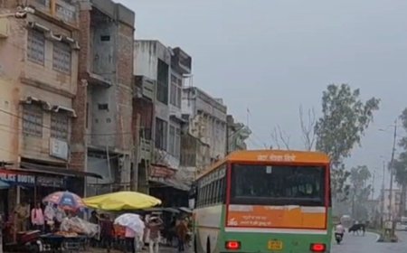 संभल में 50 घंटे की बारिश के बाद स्कूल-कॉलेज बंद:8 डिग्री पारा बढ़ा, 62 मिलीमीटर बारिश हुई; डीएम-एडीएम ने खराब फसलों का जायजा लिया