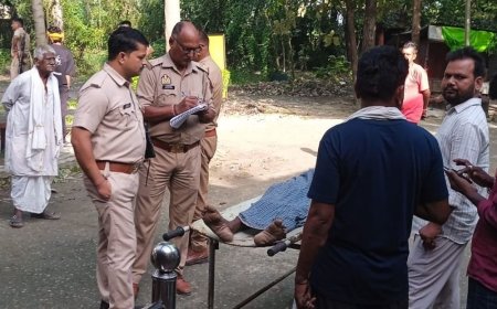 खेत से लौटते समय बुजुर्ग को वाहन ने कुचला, मौत:मऊ में धान के खेत की निगरानी करने गए थे, दिल्ली में है इकलौता बेटा