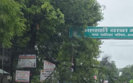24 घंटे से बिजली गुल, धान-गन्ने की फसल खराब:अम्बेडकरनगर में बारिश और तेज हवाओं ने जनजीवन किया प्रभावित, किसानों ने मांगी राहत