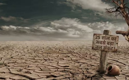 महाराष्ट्र का 74% हिस्सा सूखे की चपेट में, कमजोर मानसून ने कैसे खड़ा किया 25 साल का सबसे बड़ा संकट