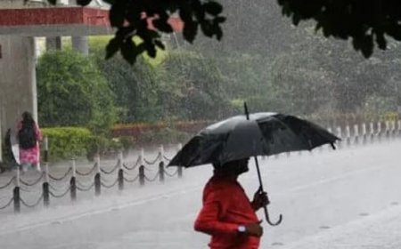 प्रयागराज में अगले 48 घंटे में आंधी-बारिश का अलर्ट:दो दिन में 47 मिमी बारिश रिकार्ड की गई, प्रशासन ने एडवाइजरी जारी की