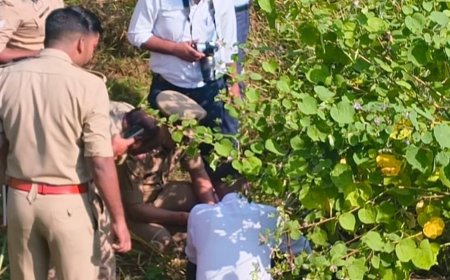 पूर्वांचल एक्सप्रेसवे की सर्विस लेन के नीचे मिली अज्ञात बॉडी:कुचला गया है चेहरा, पहचान के प्रयास में जुटी पुलिस