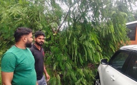 बाराबंकी में कार पर गिरा विशाल पेड़, ड्राइवर बाल-बाल बचा:डीएम आवास के पास बारिश में हुआ हादसा, लोगों ने सुरक्षित निकाला; सड़क बंद