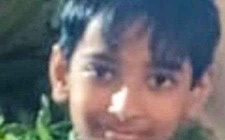 प्रतापगढ़ में बच्चे पर गिरा गेट, मौत:झुलते समय हुआ हादसा, परिजनों में शोक का माहौल