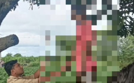 मेरठ में युवक ने पेड़ से लटककर की खुदकुशी:खेतों पर गए ग्रामीणों ने देखा, पत्नी से विवाद के बाद ससुराल से लौटा था