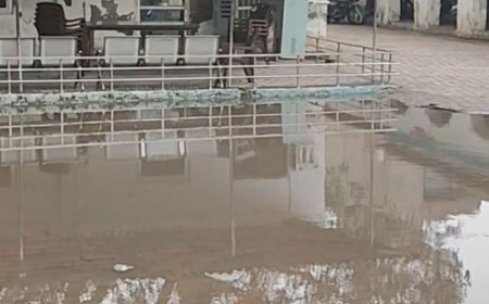 हाथरस में बारिश से जलभराव, धान-बाजरा की फसल गिरी:तालाब ओवरब्रिज के नीचे पेड़ गिरा, कोतवाली सदर में घुसा पानी