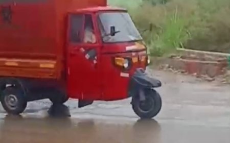 बुलंदशहर में तेज बारिश और हवा से फसलें गिरीं:धान-गन्ने को 25% तक नुकसान, कटाई से पहले किसानों की उम्मीदों पर फिरा पानी