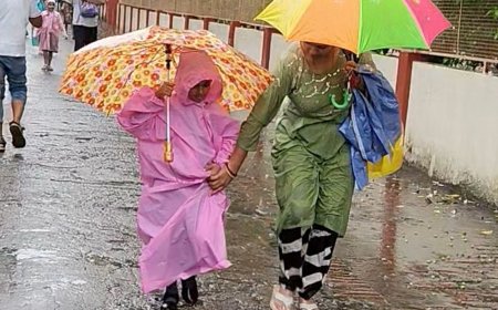 सीतापुर में 26 सितंबर को सभी स्कूल बंद:बारिश के चलते लिया फैसला, सभी बोर्ड को पर लागू होगा आदेश