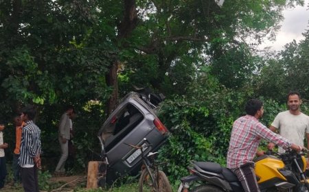हाथरस मेला से लौटते समय ईको का एक्सीडेंट:बिजली का खंभा तोड़कर पेड़ से टकराई गाड़ी, 10 घायल