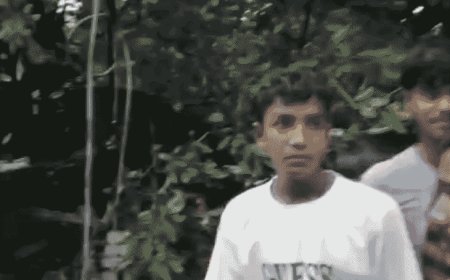 गोरखपुर में मकान पर गिरा 80 साल पुराना पेड़:3 का सिर फटा; घायलों से मिलने अस्पताल पहुंचे DM