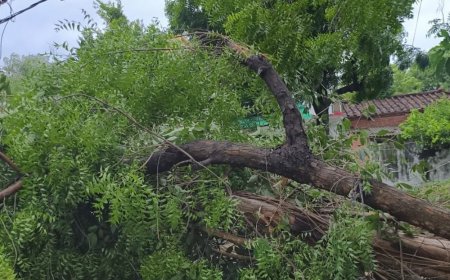 अंबेडकरनगर में 36 घंटे बिजली गुल, लाखों लोग परेशान:90 पोल टूटे, दर्जनभर ट्रांसफार्मर खराब; भीटी-राजेसुल्तानपुर समेत कई इलाकों में अंधेरा