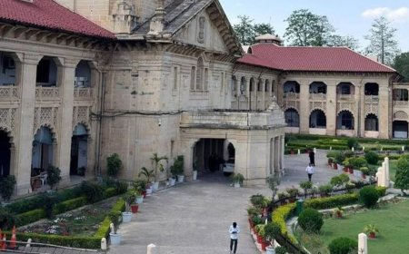 हाईकोर्ट में मामला लंबित और निचली अदालत ने दी जमानत:कोर्ट ने नाराजगी जताई, कहा यह चिंताजनक और गंभीर, मांगा जवाब