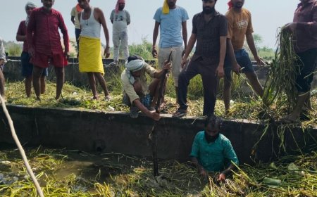 नदी का जलस्तर बढ़ा, 100 बीघा धान की फसल डूबी:पानी निकालने के लिए किसानों ने मिलकर नाले की सफाई की