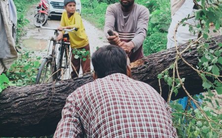 लखीमपुर में बारिश-आंधी से बिगड़े हालात:डीएम ने सैम्पवेल से जलनिकासी, बिजली बहाली के दिए निर्देश