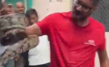 कानपुर में ऑटो के अंदर मिला अजगर:देखकर मची भगदड़, लोगों ने रेस्क्यू कर जंगल में छोड़ा