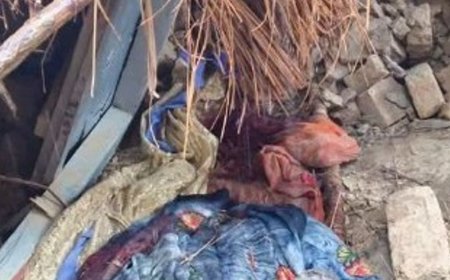 सीतापुर में कच्ची दीवार गिरने से युवक की मौत:मलबे में दबा था युवक, ग्रामीणों ने हटाकर अस्पताल पहुंचाया